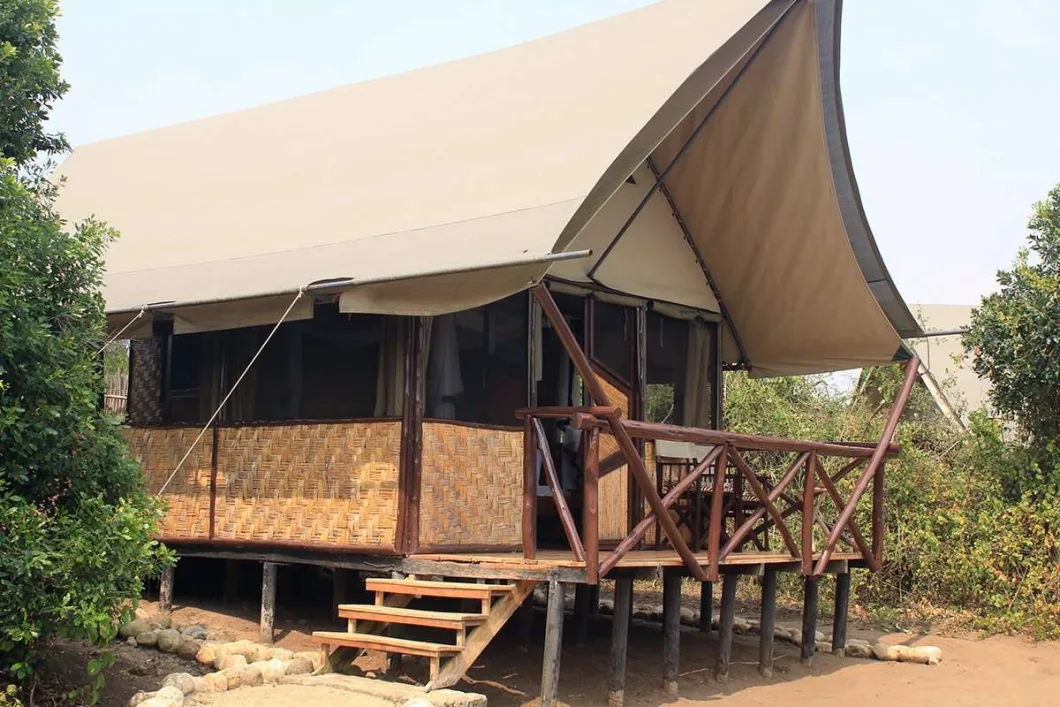 Forest Camp