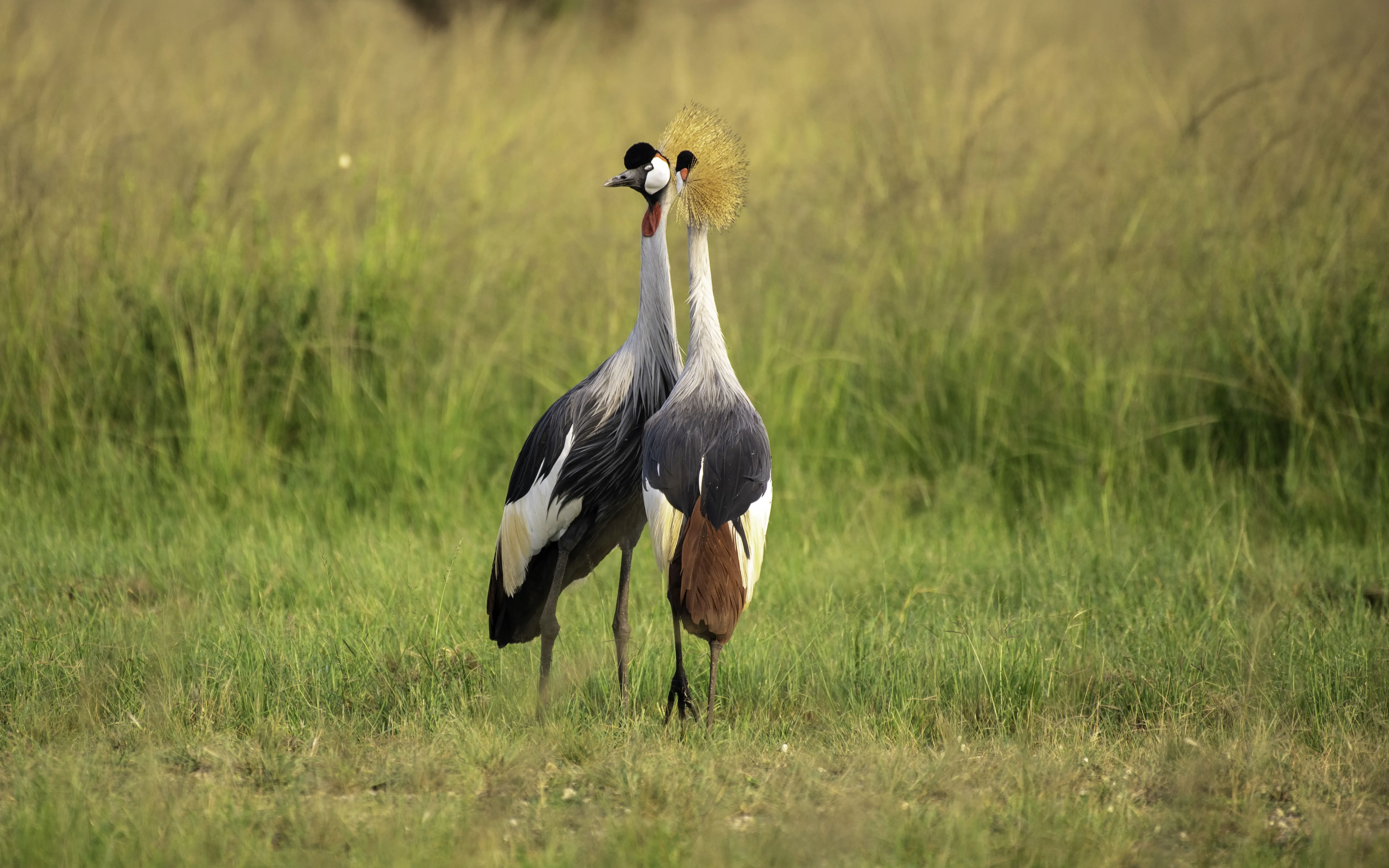Uganda Grand Tour
