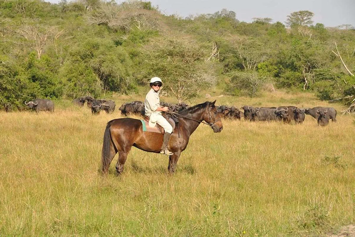 Horseback Safari