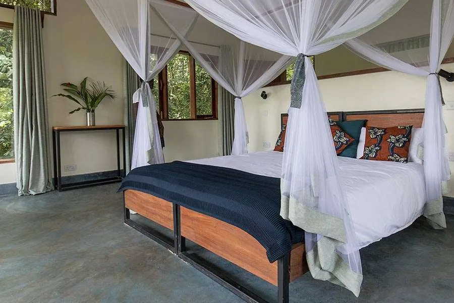 Turaco Lodge