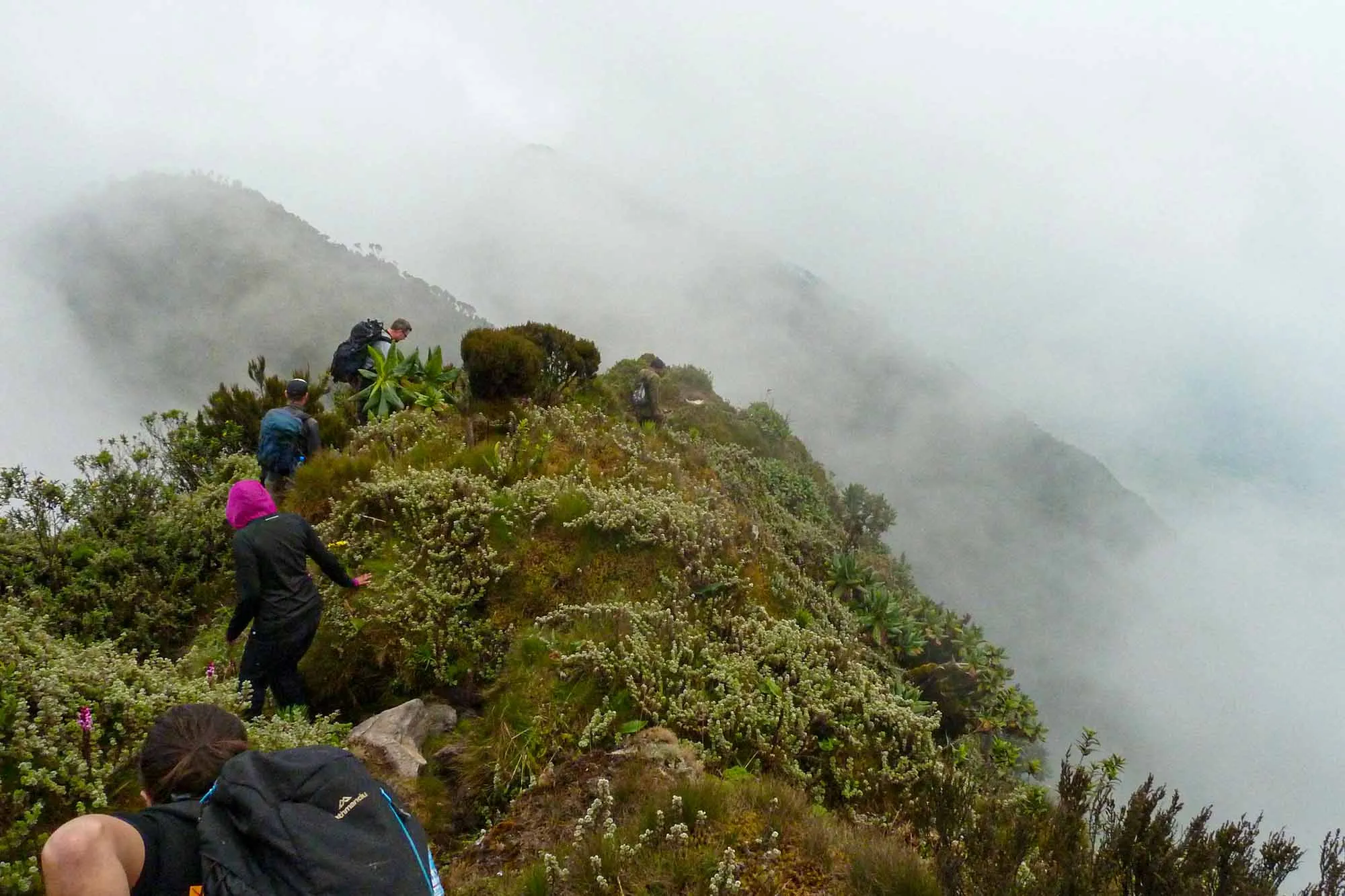 Volcano Hiking